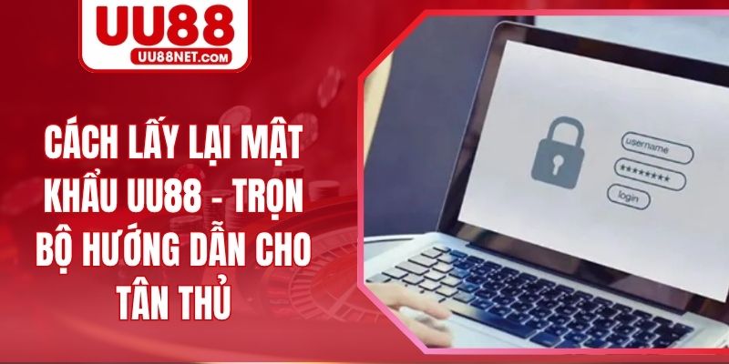 Cách Lấy Lại Mật Khẩu UU88 - Trọn Bộ Hướng Dẫn Cho Tân Thủ
