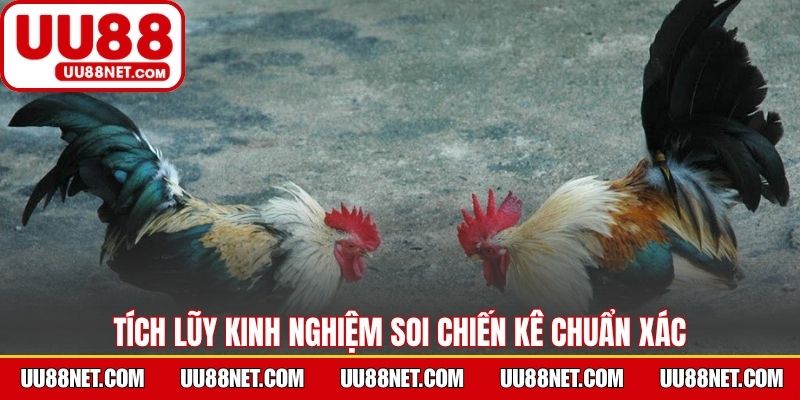 Tích lũy kinh nghiệm soi chiến kê chuẩn xác 