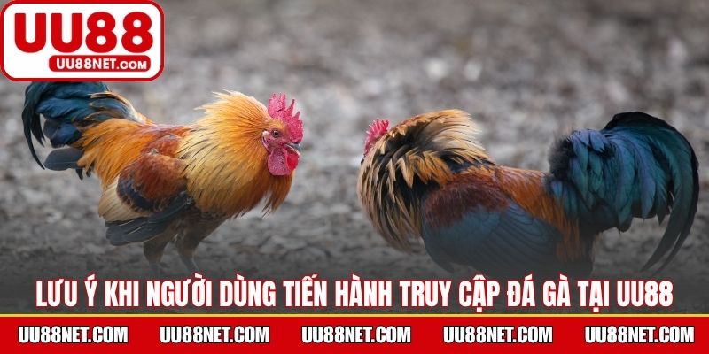 Lưu ý khi người dùng tiến hành truy cập đá gà tại UU88