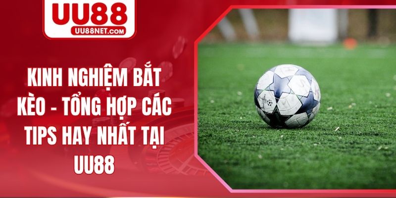Kinh Nghiệm Bắt Kèo - Tổng Hợp Các Tips Hay Nhất Tại UU88